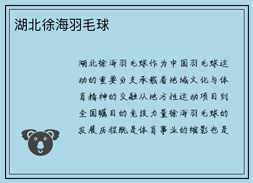 湖北徐海羽毛球